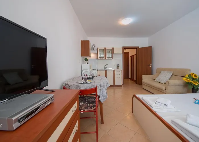 Daire Chateau Del Mar Sunny Beach